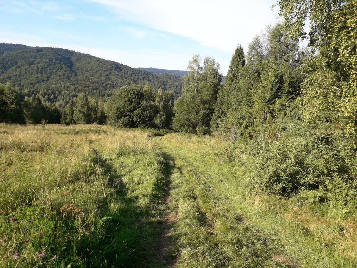 Lesne Berdo Przyslup Cisna Exterior foto